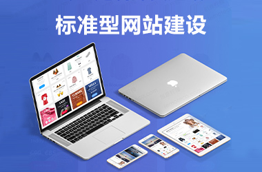 ��׼����վ����